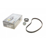 Комплект ГРМ Renault Kangoo/Dacia Logan/Sandero 1.4/1.6i 04- 