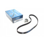 Комплект ГРМ Nissan Primera/Renault Megane II 1.9dCi 02- 