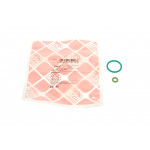 Кільце ущільнювальне (паливна система) VW Bora/Golf/Passat/T5 1.4-3.2 91-09 (к-кт 2 шт) (бензин) 