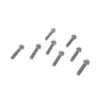 Болти маховика (к-кт 8 шт) Iveco Daily 2.3D/3.0CNG 04- 