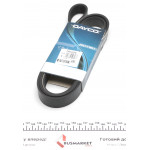 Ремінь генератора Renault Trafic 1.6dCi 14- (+AC) 