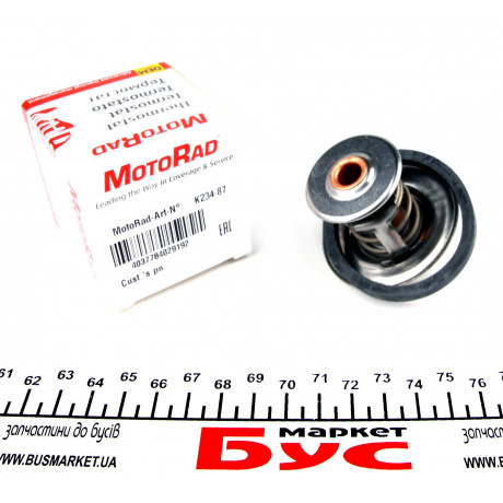 Термостат Ford Escort/Sierra/Seat Ibiza 84-93 (з прокладкою)