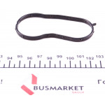 Прокладка системи охолодження ущільнююча Ford Focus/ Mondeo 1.6 04- 