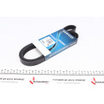 Ремінь генератора Citroen Berlingo 1.9D 