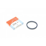 Сальник (55x63x7,3) 