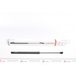 Амортизатор кришки багажника Ford Focus II 04-12 (нах.зад.частина) 