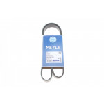 Ремінь генератора Renault Kangoo 1.5 dCi (6PK1200) 