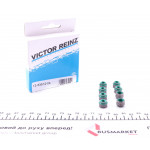 Сальник клапана (впуск/випуск) Renault Kangoo 1.5 dCi 09- (к-кт 8шт.) K9K/OM607/OM608 