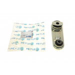 Подушка двигуна (задня/нижня) Renault Laguna II 1.8-3.0/1.9dCi-2.2dCi 01- (косточка) 