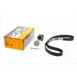 Комплект ГРМ Renault Clio/Kangoo/Megane/Dacia Duster 1.5dCi 01- (27x123z) 