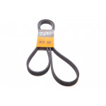 Ремінь генератора Volvo C70/S40/S80/S70/V70/XC70/XC90 2.0-3.0 98-14 