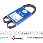 Ремінь генератора Iveco Daily III 01-06 (4PK1050) 