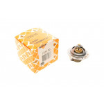 Термостат Ford Transit 2.0i/2.3 94- 