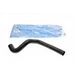 Патрубок радіатора Renault Clio/Dacia Logan 1.2 08- 