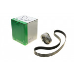 Комплект ременя генератора Renault Megane/Scenic 1.9 dCi/2.0 16V 03- (7PK1125) 