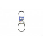 Ремінь генератора BMW 3/5 90-00 / Ford Focus 2.5 05-12 