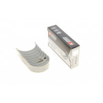 Вкладиші шатунні Citroen Jumper/Jumpy/Peugeot Boxer/Expert 1.9 TD 94-02 (+0.50) 