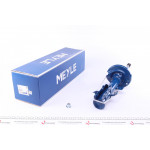 Амортизатор (передній) Ford Fiesta VI 08- (L) 