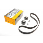 Комплект ГРМ Citroen Berlingo/Jumpy/Peugeot Boxer/Expert 2.0HDI/Fiat Ducato 2.0JTD 99- (25x141z) 