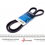 Ремінь генератора Peugeot 505/604 2.7-2.8 77-87 (13x1375) 