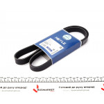 Ремінь генератора Renault 19 1.9dT 90-95 (6PK1175) 