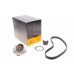 Комплект ГРМ + помпа Fiat Doblo/Palio/Panda/Punto/Stilo/Tipo/Opel Combo 1.4i 10- (22x124z) 