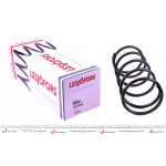 Пружина (задня) Mitsubishi Pajero Sport I 2.5TD/3.0 V6 98- (всюдихід) (415mm) 