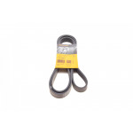 Ремінь генератора Renault Trafic/Opel Vivaro 2.0CDTi 06-/MB E-class 3.0 11-13/Toyota Avensis 05-08 