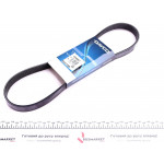 Ремінь генератора Renault Kangoo 1.9D 97- 