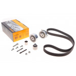 Комплект ГРМ Audi Q5/VW T5/T6/ Caddy/Crafter 1.6/2.0TDI 09- (25x160z) 