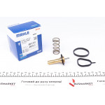 Термостат Ford Focus III 1.6 Ecoboost 10- 