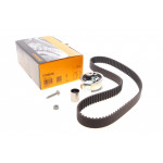 Комплект ГРМ Audi A6/VW Passat 98-05/Seat Alhambra 96-10/Ford Galaxy 1.9 TDI 95-06 (30x120z) 