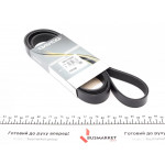 Ремінь генератора Peugeot Expert/Citroen Jumpy 1.9D/TD 96-/2.0HDI 00- (HD) 