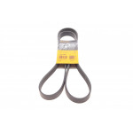 Ремінь генератора BMW X5 (E70) 4.8i 07-08/Renault Master/Opel Movano 2.3 dCi/CDTI 10- (7PK1666) 