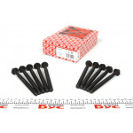 Болти головки (к-кт 10шт.) Renault Kangoo 1.5dCi 