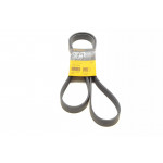 Ремінь генератора Renault Trafic/Opel Vivaro/Nissan Primastar 2.0CDTi 06- 