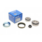 Підшипник маточини (задньої) Fiat Ducato 94-02/Citroen Jumper 94-02(30x62x20/40x75x26) (к-кт) 