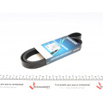 Ремінь генератора Ford Escort 1.6/1.8i 