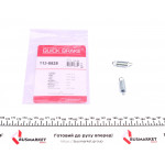 Пружини супорта (заднього) Renault Megane II/III/Scenic II/III 02- (К-кт L+R) 