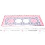 Прокладка ГБЦ Nissan Primera/Sentra/X-Trail 2.0-2.5 01- 