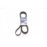 Ремінь генератора Land Rover Discovery III 4.4 04-13 (6PK2345) 