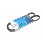 Ремінь генератора Fiat Croma -96 