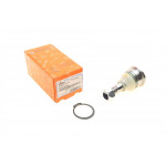 Опора кульова (передня/знизу) Nissan Primera/Sunny 86-02/Almera II 00- 