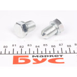 Болт зливу оливи VW Caddy III/T5/Crafter 