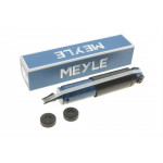 Амортизатор (задній) VW T4 (GAS) 