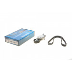 Комплект ременя генератора Citroen Berlingo 1.6HDI 08- (6PK975) 