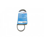 Ремінь генератора Fiat Doblo 1.2-1.4 01- (3PK915) 