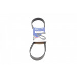 Ремінь генератора Fiat Punto/Stilo 1.9 JTD 99-06 (6PK813) 