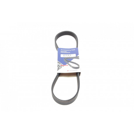 Ремінь генератора Fiat Punto/Stilo 1.9 JTD 99-06 (6PK813)