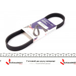 Ремінь генератора Citroen Jumper 2.5TD/2.0 94-02 